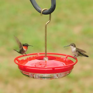 Aspects High View HummZinger Mini Hummingbird Feeder, 8 oz.