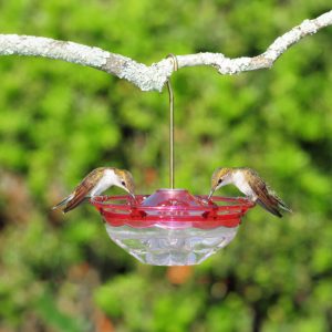 Aspects HummBlossom Hummingbird Feeder, Rose, 4 oz.