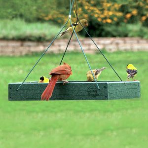 Audubon Recycled Plastic Platform Bird Feeder