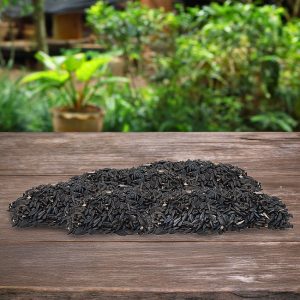 Black Oil Sunflower Seed, 25 lbs.