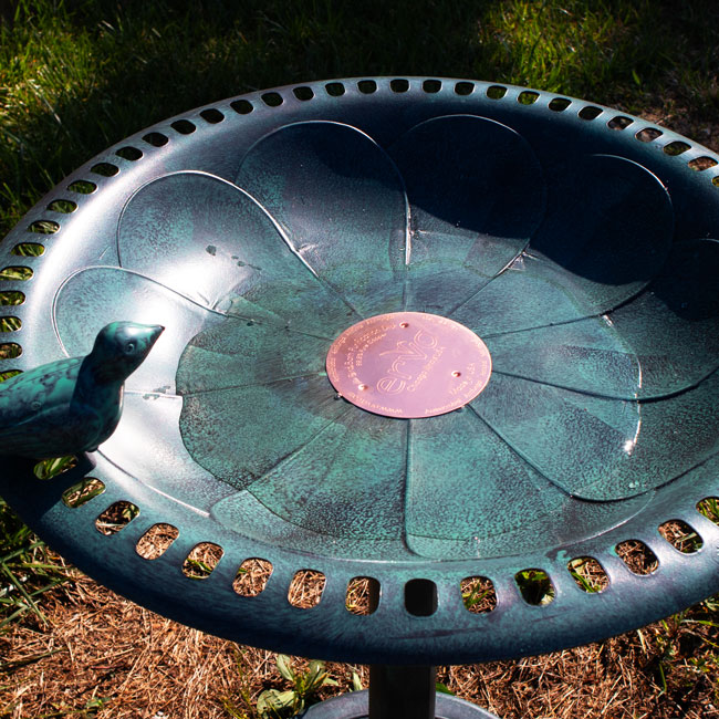 Copper Bird Bath Purification Disk for Cleaner Bird Bath Water - Image 6