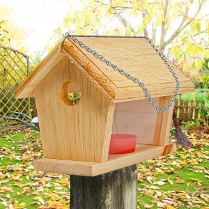 Coveside Small Fruit & Mealworm Bluebird Feeder