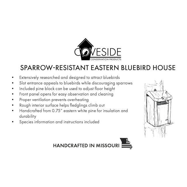 Sparrow Resistant Eastern Bluebird House for Backyard Nesting - Image 8