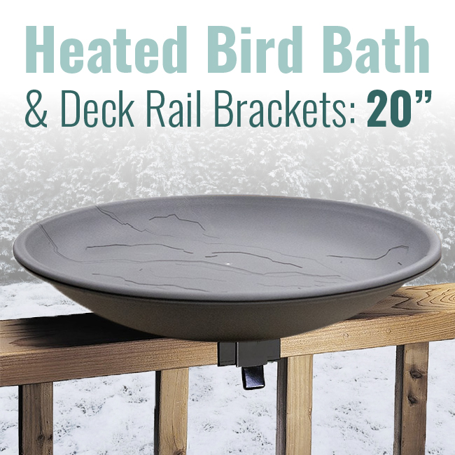 Wild Bird Lover’s Heated Bird Bath with Deck Rail Brackets, 20"