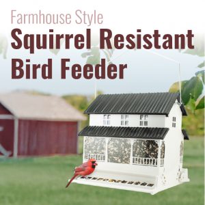 Farmhouse Style Absolute Squirrel Resistant Bird Feeder
