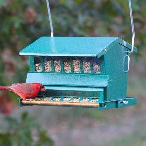 Heritage Farms Absolute Bird Feeder with Pole and Hanger