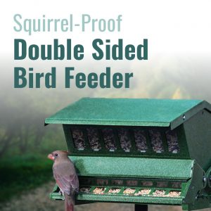 Double Sided Absolute II Bird Feeder with Pole & Hanger