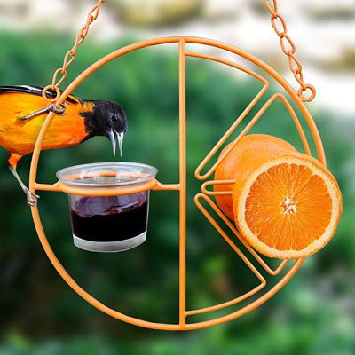 Heath Clementine Fruit and Jelly Oriole Feeder – Orange Fruit & Jelly Bird Feeder