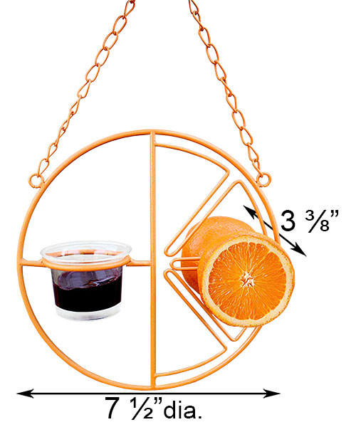Heath Clementine Fruit and Jelly Oriole Feeder – Orange Fruit & Jelly Bird Feeder - Image 2