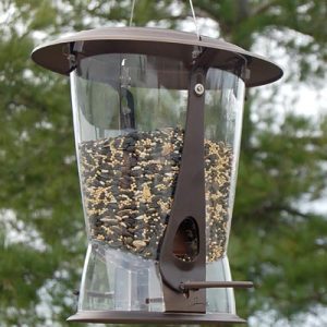 More Birds Squirrel X-2 Squirrel Proof Bird Feeder