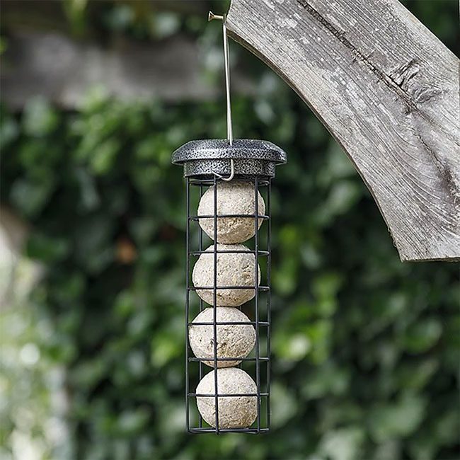 Sterling Heavy Duty Triple Bird Feeder Package – 3 Feeder Set - Image 8