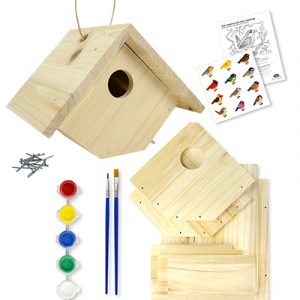 Nature's Way My First Wren House DIY Kit