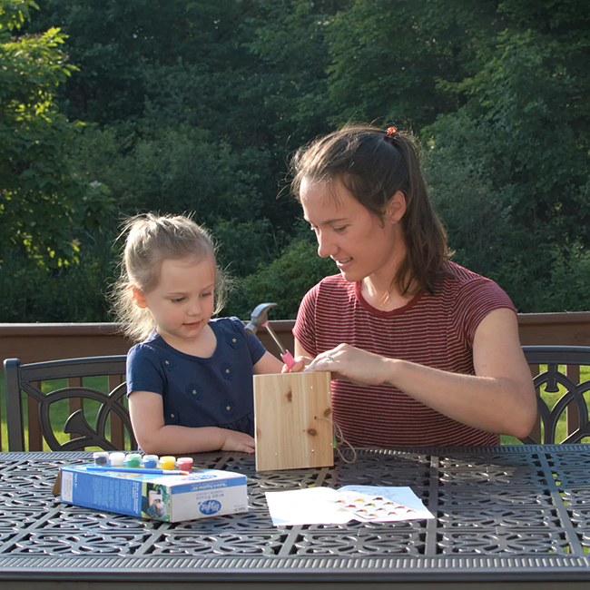 Nature’s Way My First Wren House DIY Kit – Kids Birdhouse Kit - Image 5