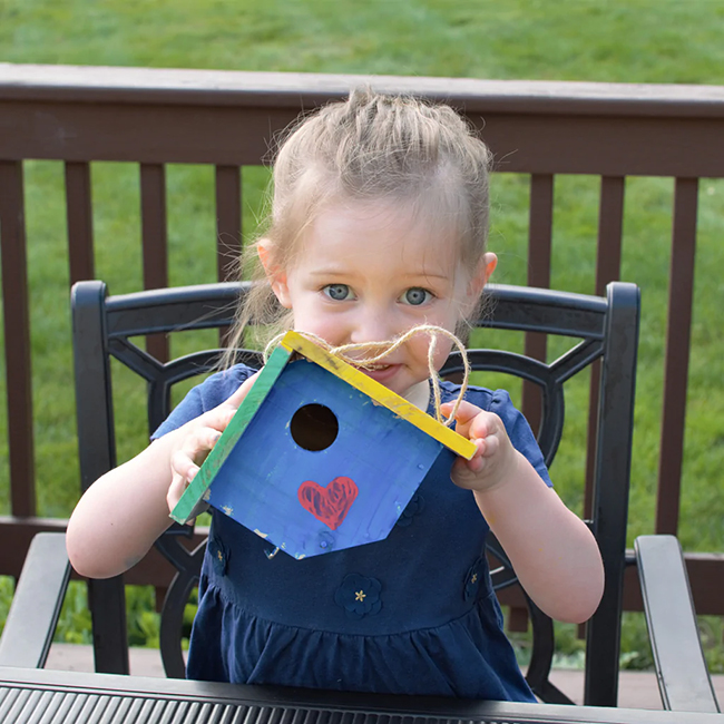 Nature’s Way My First Wren House DIY Kit – Kids Birdhouse Kit - Image 4
