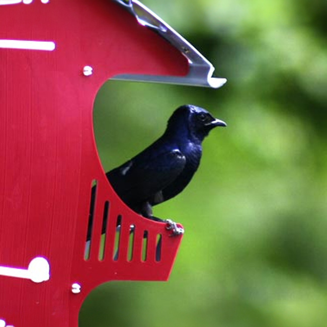 Purple Martin House 16 Room (S&K Barn Birdhouse) - Image 8