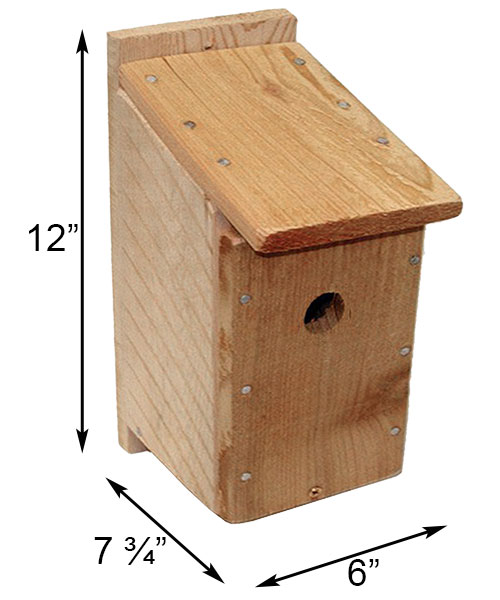 Bluebird House Kit (DIY Cedar Birdhouse for Backyard Birds) - Image 2