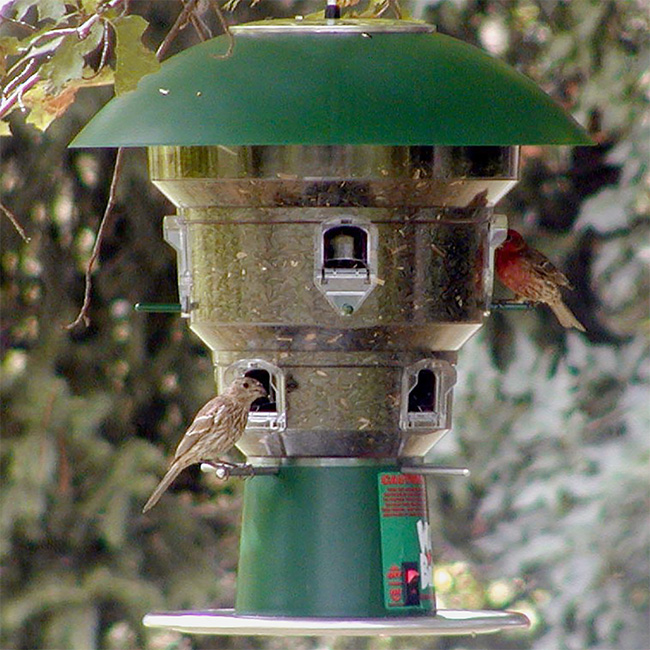 Electronic Squirrel Proof Bird Feeder – 8 Port Large Capacity - Image 9