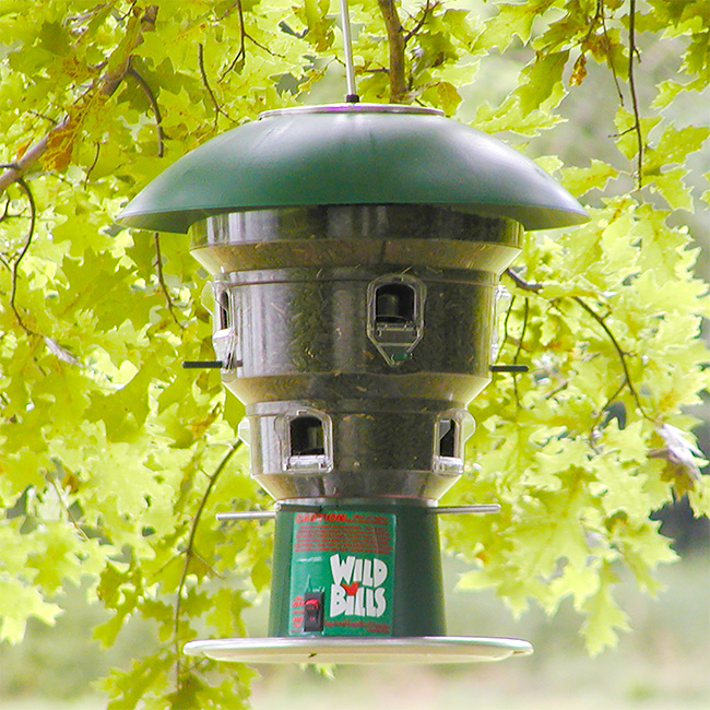 Electronic Squirrel Proof Bird Feeder – 8 Port Large Capacity