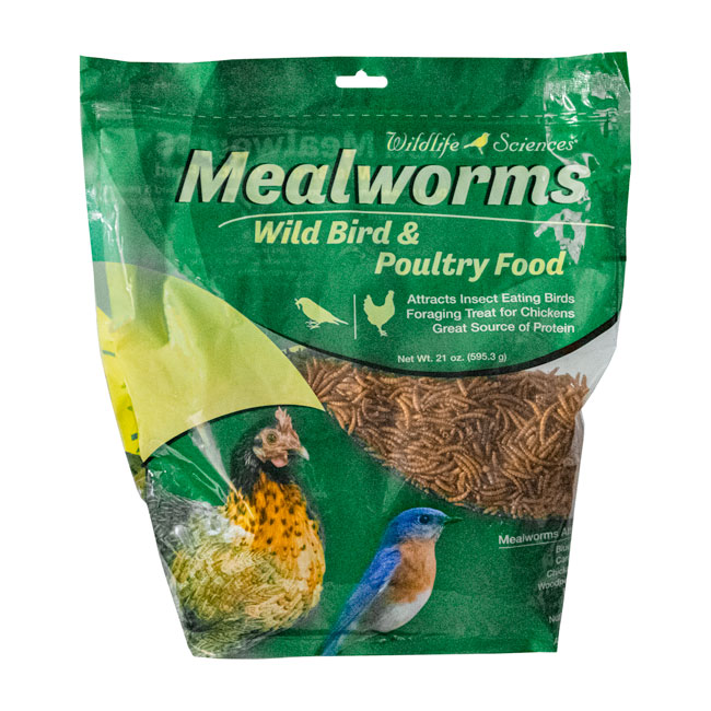 Dehydrated Mealworms for Birds – 21 oz High Protein Bird Food - Image 5