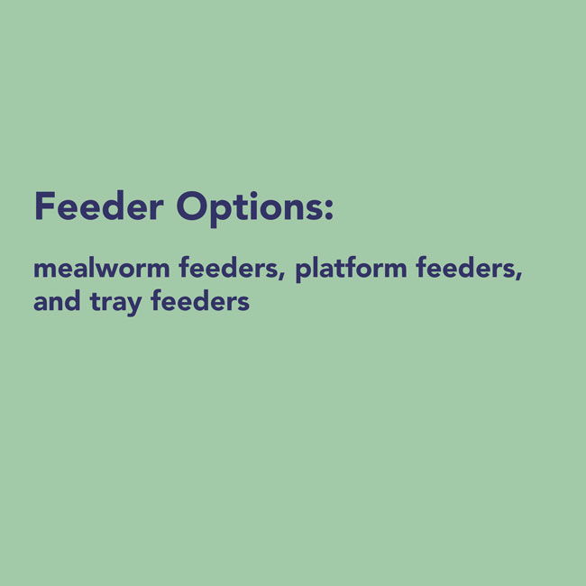 Dehydrated Mealworms for Birds – 21 oz High Protein Bird Food - Image 4