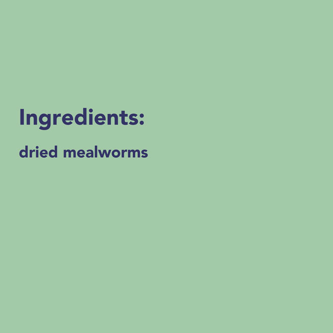 Dehydrated Mealworms for Birds – 21 oz High Protein Bird Food - Image 3