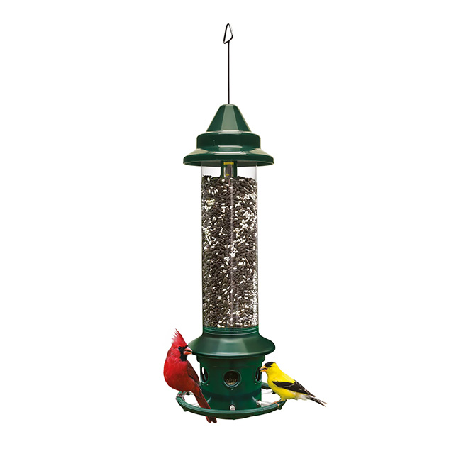 Brome Squirrel Buster Plus Weight-Sensitive Squirrel Proof Tube Bird Feeder – 3 Quart Capacity - Image 7