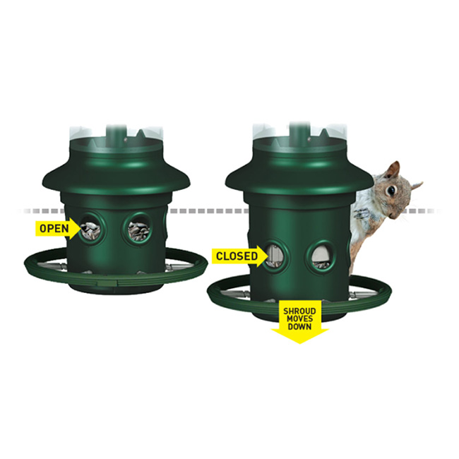 Brome Squirrel Buster Plus Weight-Sensitive Squirrel Proof Tube Bird Feeder – 3 Quart Capacity - Image 5