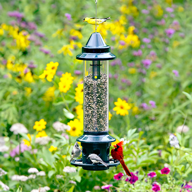 Brome Squirrel Buster Plus Weight-Sensitive Squirrel Proof Tube Bird Feeder – 3 Quart Capacity - Image 8