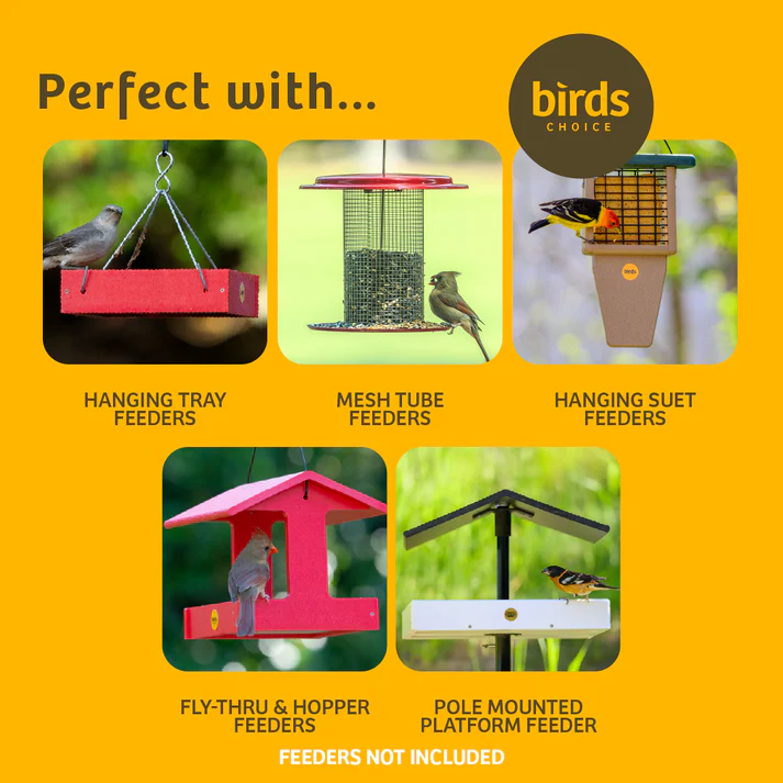 Birds Choice 2 Arm Bird Feeder Pole Set with Squirrel Baffle – Heavy Duty Steel Mounting Pole - Image 8