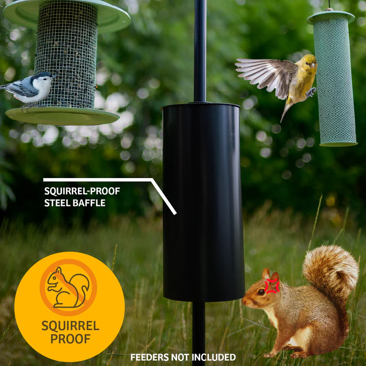 Birds Choice 2 Arm Bird Feeder Pole Set with Squirrel Baffle – Heavy Duty Steel Mounting Pole - Image 5