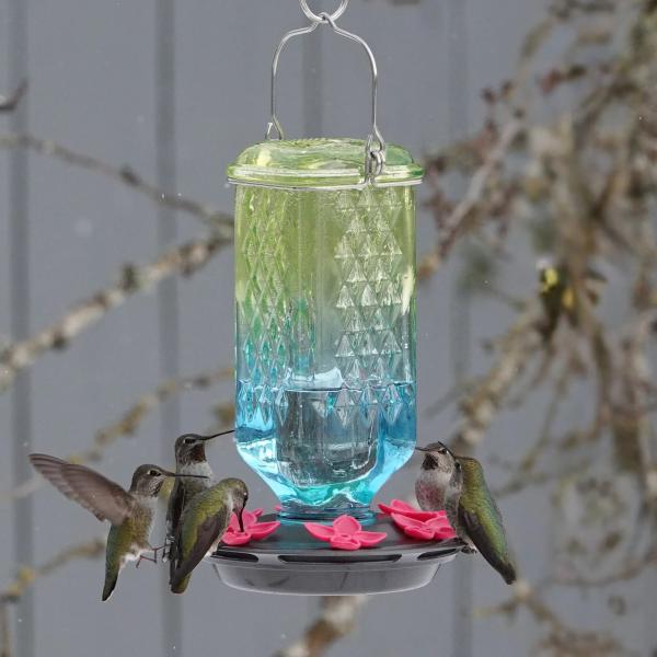 Seafoam ombre glass hummingbird feeder hanging outdoors attracting hummingbirds