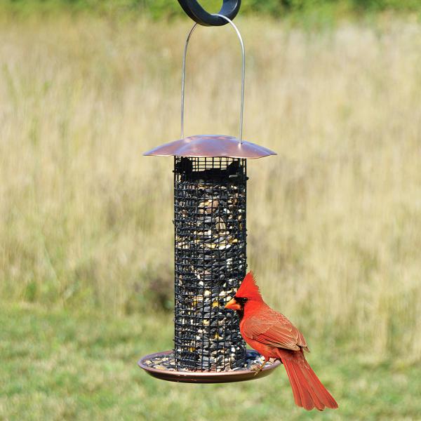 Petite Copper Sunflower Bird Feeder attracting a Northern Cardinal