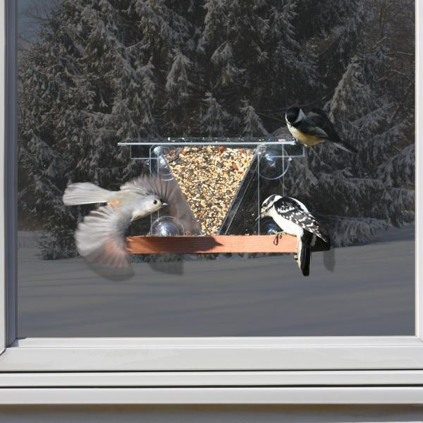 Window Bird Feeder with Suction Cups | Clear Acrylic Bird Feeder - Image 3