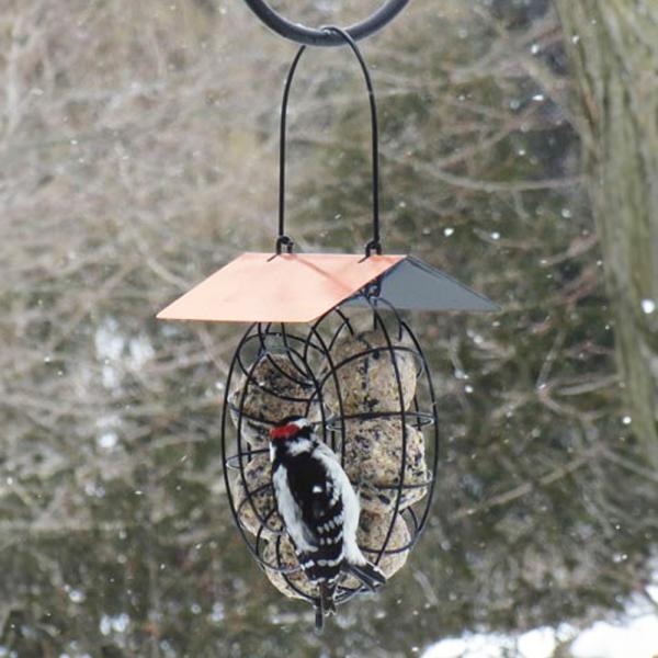 Copper Roof Suet Ball & Seed Ball Bird Feeder - Image 2