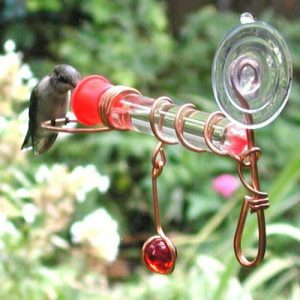 Window Wonder One Tube Feeder
