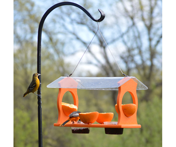 Recycled Oriole Diner Bird Feeder with Jelly Cups & Orange Holders - Image 2