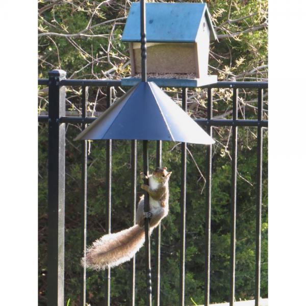 Squirrel Defeater Super Snap-On Pole Baffle | Adjustable Squirrel Guard for Bird Feeders - Image 2
