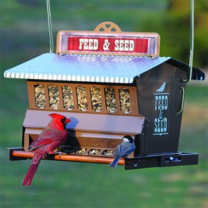 Rustic Farmhouse Absolute Feed & Seed Feeder