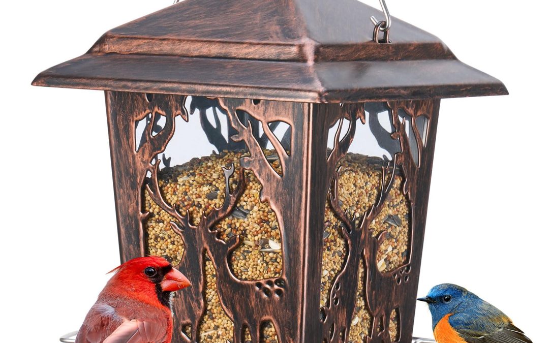 Fall Bird Feeding: How to Get Your Backyard Ready for Winter Birds