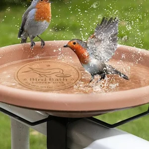 Copper bird bath disk for outdoor bird bath
