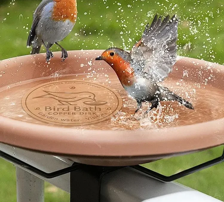 Copper bird bath disk for outdoor bird bath