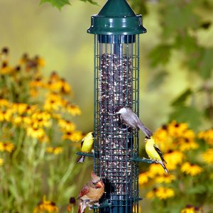 Brome Squirrel Buster Classic Squirrel Proof Bird Feeder