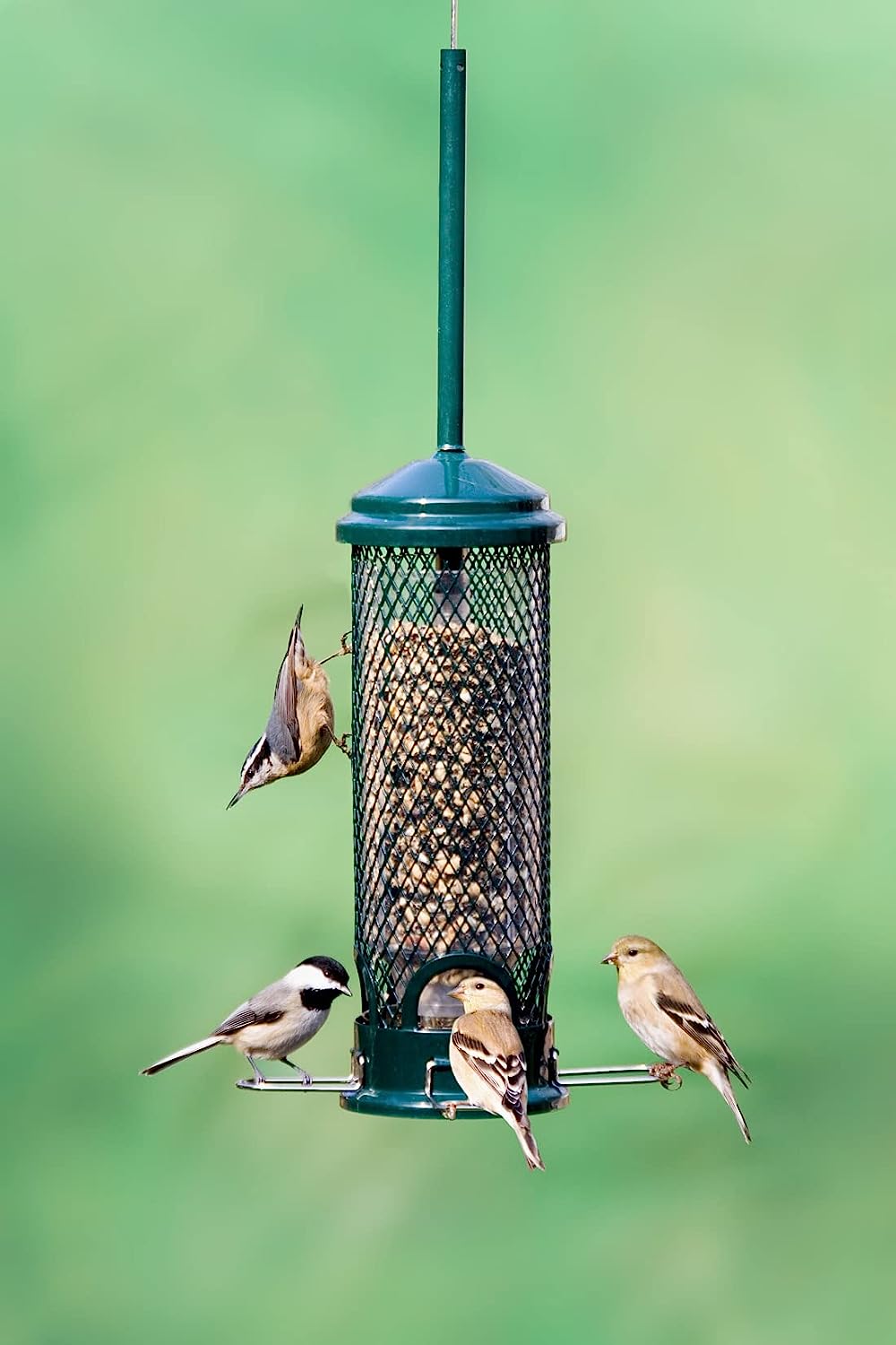 Brome Squirrel Buster Mini Squirrel Proof Bird Feeder - view 4