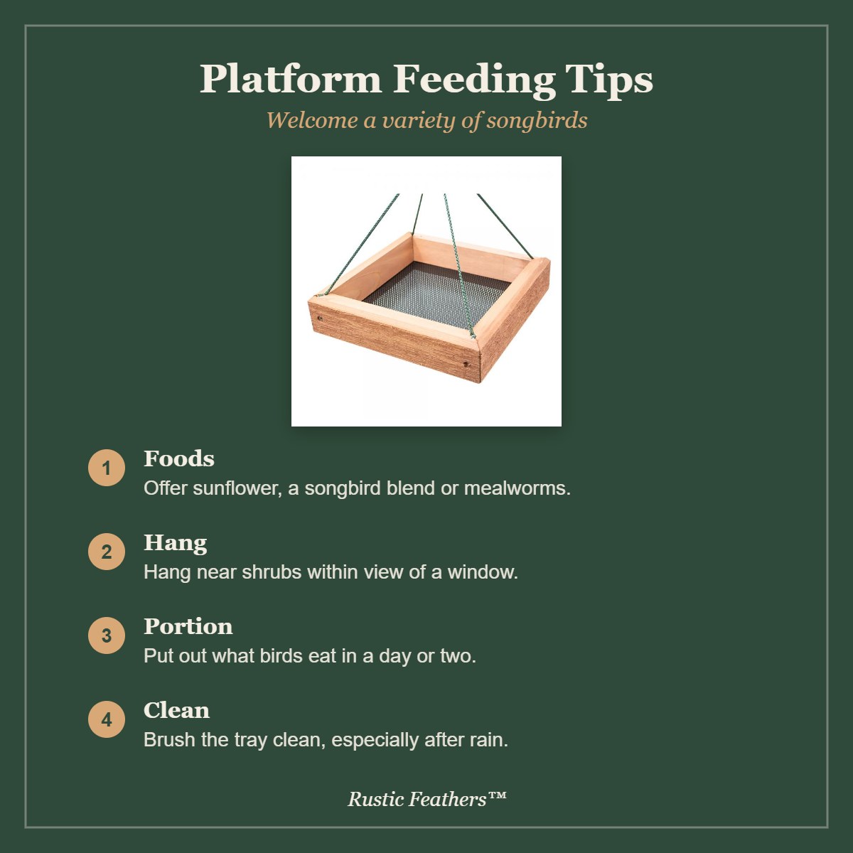 Platform Feeding Tips for the 9 x 9 Cedar Tray Feeder