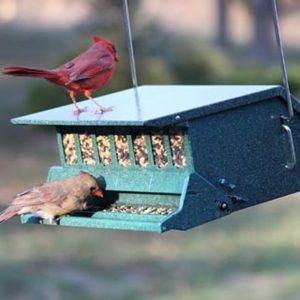 Heritage Farms Birds Choice squirrel proof hopper bird feeder with weight-sensitive perch and seed windows