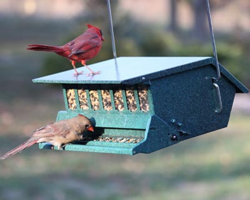 Heritage Farms Birds Choice squirrel proof hopper bird feeder with weight-sensitive perch and seed windows