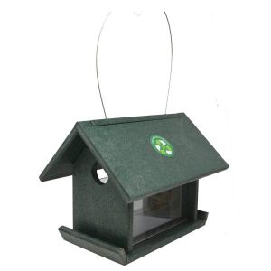 Songbird Essentials Recycled Plastic Bluebird Mealworm Feeder
