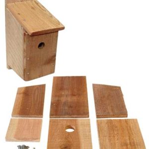Songbird Essentials DIY cedar bluebird house kit showing assembled house and precut panels with hardware