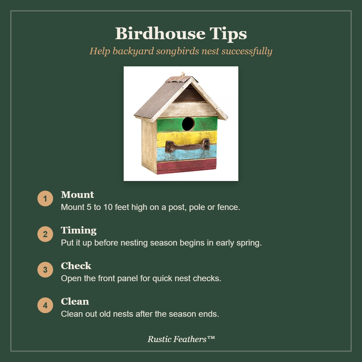 Birdhouse tips: mounting, timing, checks and cleaning