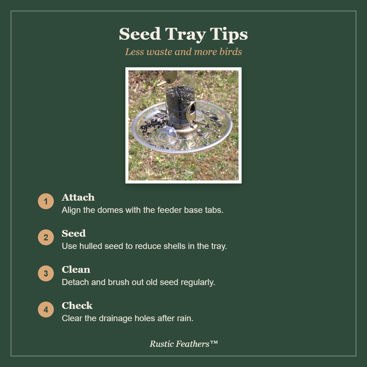 Seed tray tips: attaching, seed choice, cleaning and drainage